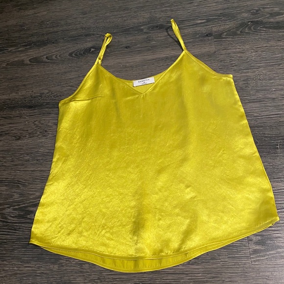 Aritzia stain camisole - Picture 4 of 4